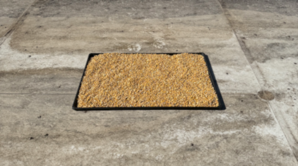 pigeon corn bed